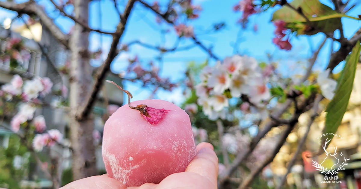 免飛日本也吃得到｜明月堂櫻花和菓子，日本交流協會指定日本和菓子老店