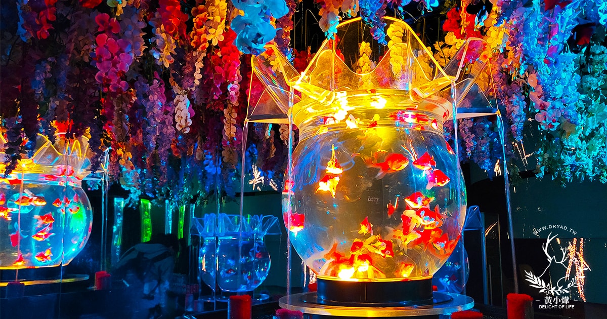 【金魚藝術展評價】Art Aquarium in Taipei,東京最具話題的藝術水族館